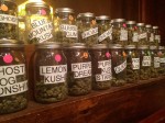 Reliable suppliers of both indoor and outdoor grown marijuana strains